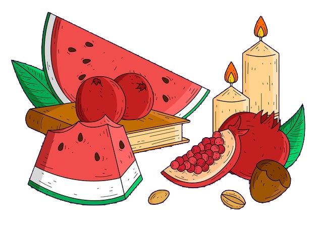 تخفیف یلدایی برای خرید کنسانتره و افزودنی