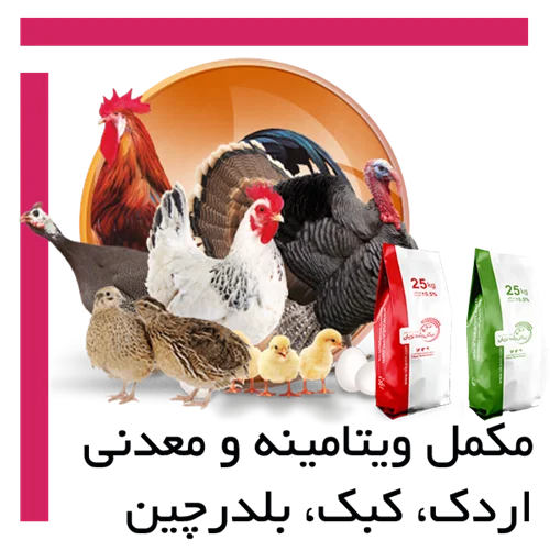 مکمل ویتامینه و معدنی بلدرچین، کبک و اردک